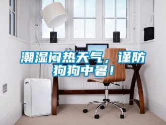 企業(yè)新聞潮濕悶熱天氣，謹(jǐn)防狗狗中暑！