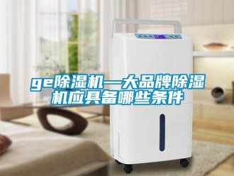 企業(yè)新聞ge除濕機—大品牌除濕機應具備哪些條件