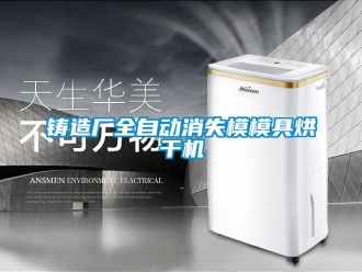 知識百科鑄造廠全自動(dòng)消失模模具烘干機(jī)