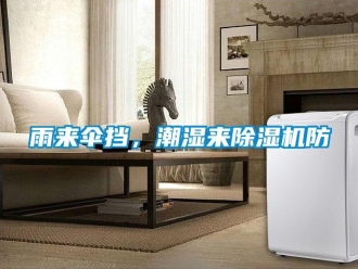 知識(shí)百科雨來傘擋，潮濕來除濕機(jī)防