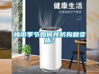 常見問題梅雨季節(jié)如何預(yù)防狗糧變質(zhì)？