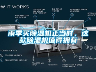 知識(shí)百科雨季買(mǎi)除濕機(jī)正當(dāng)時(shí)，這款除濕機(jī)值得擁有