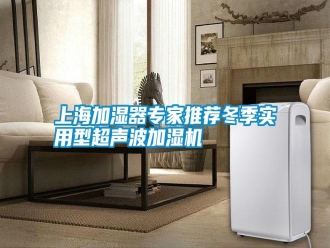 知識百科上海加濕器專家推薦冬季實用型超聲波加濕機