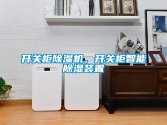 行業(yè)新聞開關(guān)柜除濕機(jī)，開關(guān)柜智能除濕裝置
