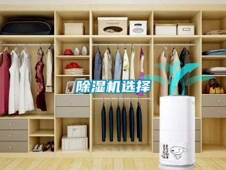 企業(yè)新聞除濕機選擇