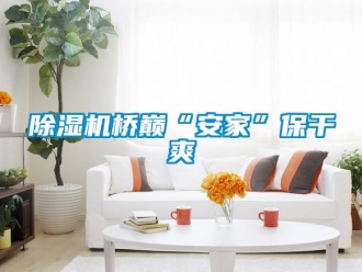 企業(yè)新聞除濕機(jī)橋巔“安家”保干爽
