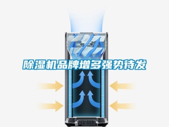 常見問題除濕機品牌增多強勢待發(fā)
