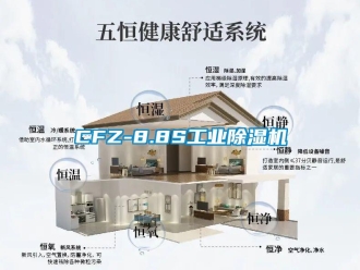 常見問題CFZ-8.8S工業(yè)除濕機(jī)