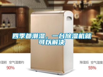 知識百科四季都潮濕，一臺除濕機就可以解決
