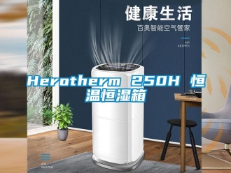 常見問題Herotherm 250H 恒溫恒濕箱