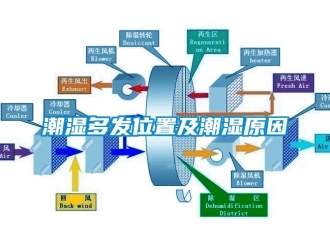 企業(yè)新聞潮濕多發(fā)位置及潮濕原因