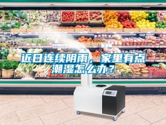常見問題近日連續(xù)陰雨，家里有點潮濕怎么辦？