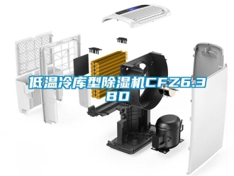 行業(yè)新聞低溫冷庫(kù)型除濕機(jī)CFZ6.3BD
