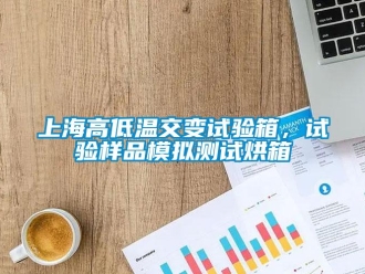 常見問(wèn)題上海高低溫交變?cè)囼?yàn)箱，試驗(yàn)樣品模擬測(cè)試烘箱