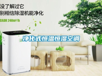 知識(shí)百科凈化式恒溫恒濕空調(diào)