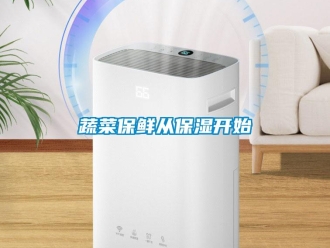 知識百科蔬菜保鮮從保濕開始
