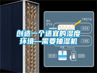 企業(yè)新聞創(chuàng)造一個(gè)適宜的濕度環(huán)境—需要抽濕機(jī)