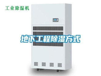企業(yè)新聞地下工程除濕方式