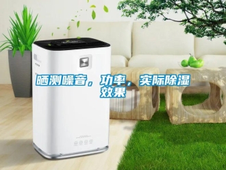 知識百科曬測噪音，功率，實際除濕效果