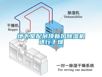 企業(yè)新聞地下室配吊頂新風(fēng)除濕機(jī)進(jìn)行干燥