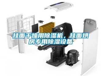 企業(yè)新聞掛面干燥用除濕機(jī)，掛面烘房專用除濕設(shè)備