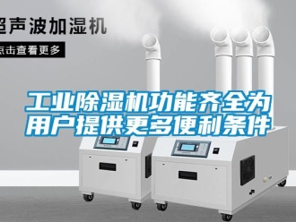 企業(yè)新聞工業(yè)除濕機功能齊全為用戶提供更多便利條件