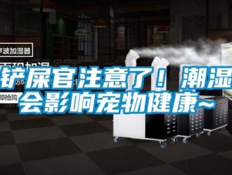 企業(yè)新聞鏟屎官注意了！潮濕會(huì)影響寵物健康~