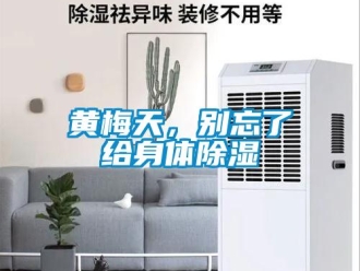 行業(yè)新聞黃梅天，別忘了給身體除濕