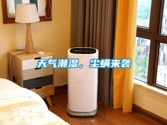 知識百科天氣潮濕，塵螨來襲