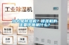 什么是除濕機(jī)？除濕機(jī)的主要作用是什么？
