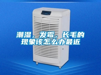 常見(jiàn)問(wèn)題潮濕，發(fā)霉，長(zhǎng)毛的現(xiàn)象該怎么辦最近