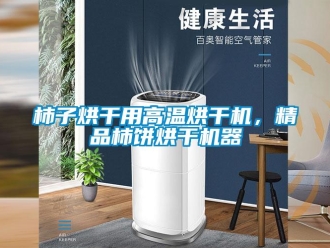 知識百科柿子烘干用高溫烘干機(jī)，精品柿餅烘干機(jī)器