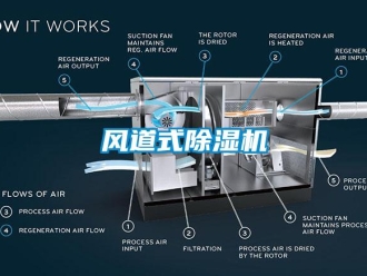 企業(yè)新聞風(fēng)道式除濕機