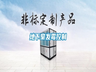 企業(yè)新聞地下室發(fā)霉控制