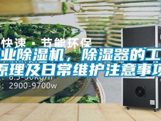 企業(yè)新聞工業(yè)除濕機(jī)，除濕器的工作原理及日常維護(hù)注意事項(xiàng)