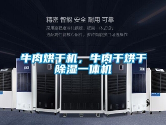 行業(yè)新聞牛肉烘干機，牛肉干烘干除濕一體機