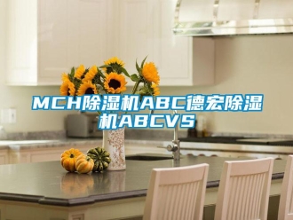 企業(yè)新聞MCH除濕機(jī)ABC德宏除濕機(jī)ABCVS