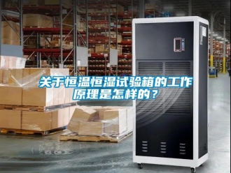 知識(shí)百科關(guān)于恒溫恒濕試驗(yàn)箱的工作原理是怎樣的？