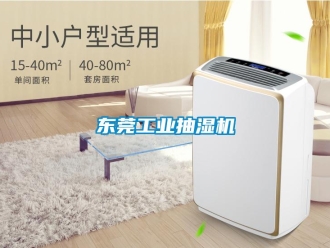 企業(yè)新聞東莞工業(yè)抽濕機(jī)