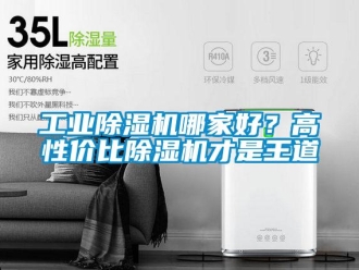 企業(yè)新聞工業(yè)除濕機(jī)哪家好？高性價(jià)比除濕機(jī)才是王道
