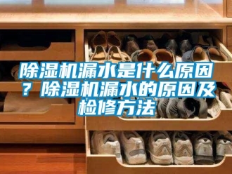 常見問題除濕機漏水是什么原因？除濕機漏水的原因及檢修方法
