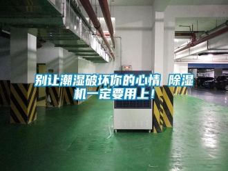 常見問題別讓潮濕破壞你的心情 除濕機一定要用上！