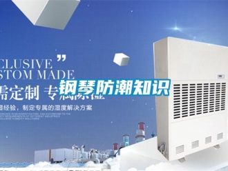 企業(yè)新聞鋼琴防潮知識(shí)