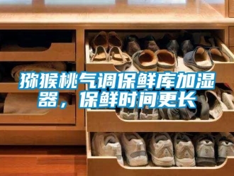 行業(yè)新聞獼猴桃氣調(diào)保鮮庫加濕器，保鮮時間更長