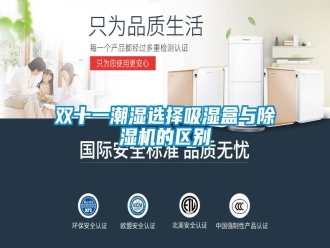 知識(shí)百科雙十一潮濕選擇吸濕盒與除濕機(jī)的區(qū)別