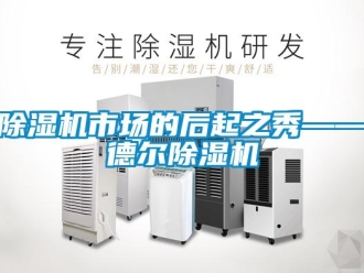企業(yè)新聞除濕機(jī)市場(chǎng)的后起之秀——德爾除濕機(jī)