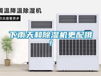 行業(yè)新聞下雨天和除濕機(jī)更配哦!