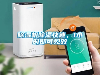 企業(yè)新聞除濕機(jī)除濕快速，1小時(shí)即可見效