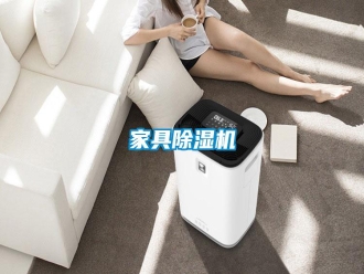 行業(yè)新聞家具除濕機
