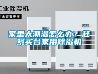 常見(jiàn)問(wèn)題家里太潮濕怎么辦？趕緊買臺(tái)家用除濕機(jī)
